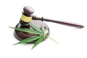 nsw weed laws